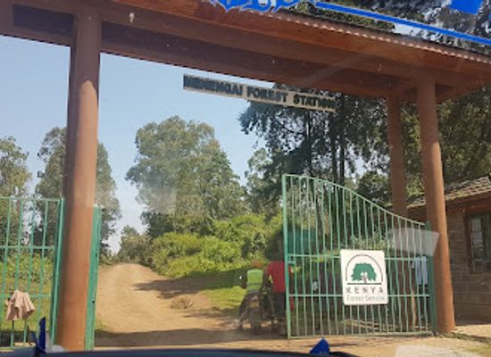 kenya/lake-nakuru-national-park/landmark/kenya-forest-service-station