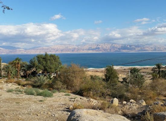 israel/ein-gedi/landmark/ein-gedi-botanical-garden