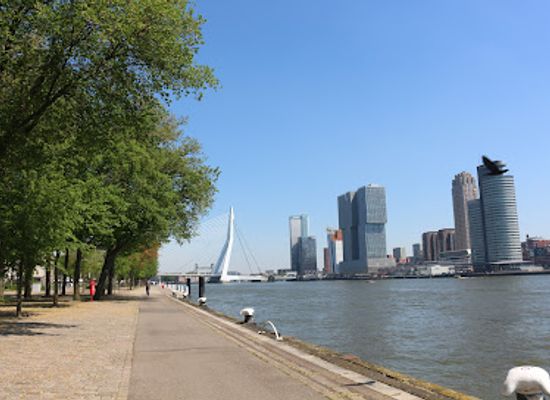 netherlands/rijnmond/landmark/monument-brandgrens-bombardement