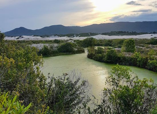brazil/florianopolis/landmark/dunes-of-joaquina