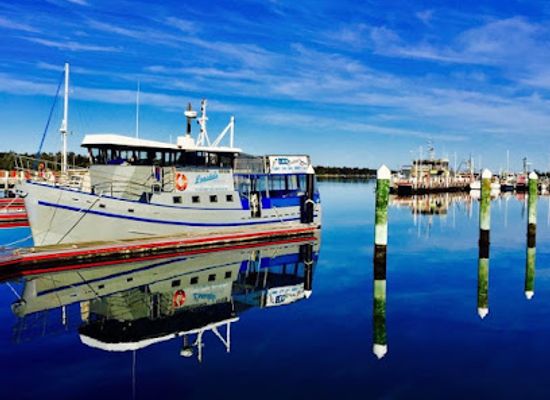 australia/gippsland/landmark/lonsdale-eco-cruise