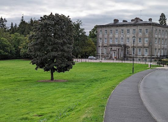 united-kingdom/armagh/attraction/palace-stables-2