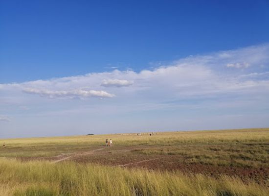 ukraine/pryazovia/landmark/azov-syvas-kyi-national-park