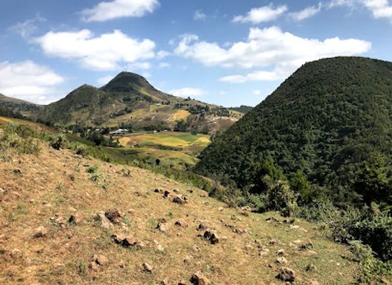 ethiopia/shewa/landmark/suba-menagesha-park