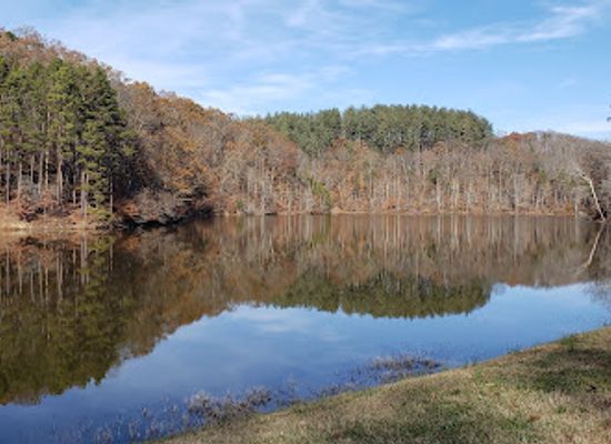 ohio/appalachian-ohio/landmark/wayne-national-forest