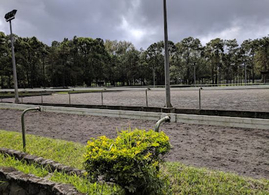 mauritius/plaines-wilhems/landmark/horse-club-maurice