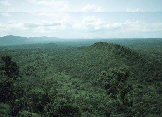 ghana/bono-region/landmark/bui-national-park-tortoisepath-com