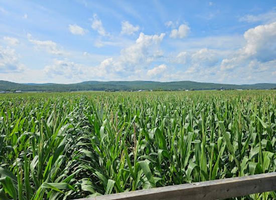 canada/lanaudiere/landmark/le-grand-labyrinthe-de-lanaudiere