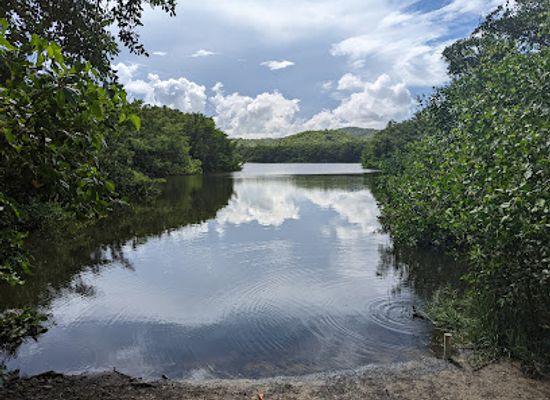 puerto-rico/caribbean-national-forest/landmark/humacao-nature-preserve