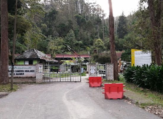 malaysia/cameron-highlands/landmark/cameron-highlands-district-forestry-office