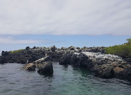 ecuador/galapagos-islands/landmark/pearl-shell