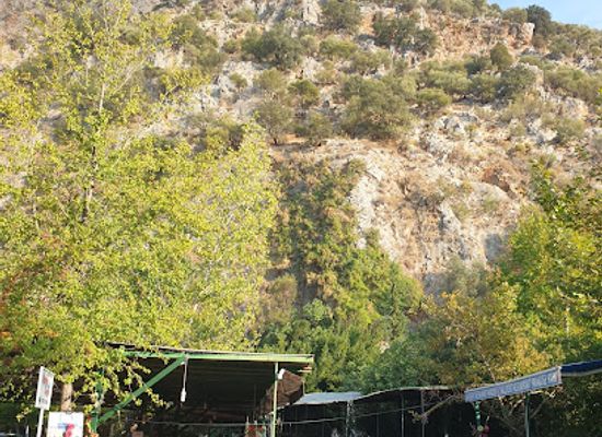 turkiye/saklikent-gorge/landmark/saklikent-cihan-in-yeri-alkolsuz-aile-restorani-vitamin-bar