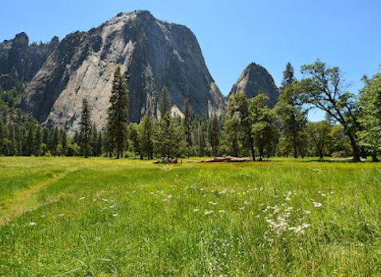 california/yosemite/landmark/el-capitan-meadow