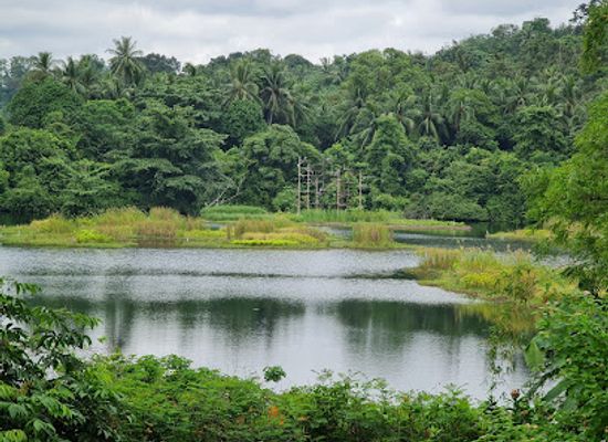 singapore/pulau-ubin/landmark/butterfly-hill