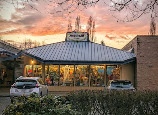 washington/redmond/landmark/snapdoodle-toys-games-redmond