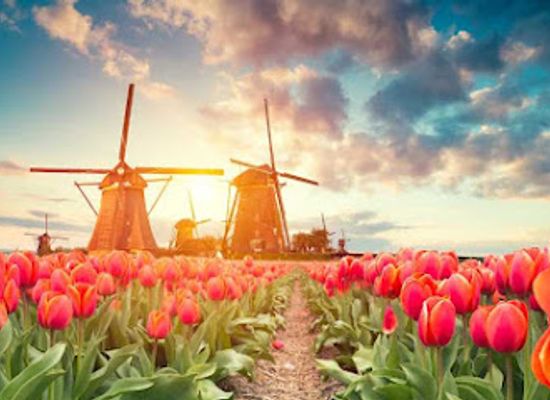 netherlands/egmond-aan-zee/landmark/to-do-in-holland
