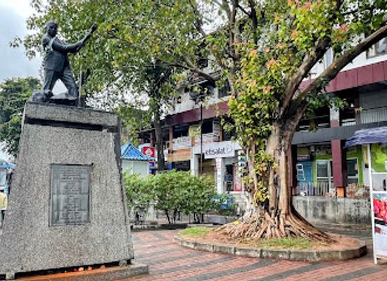 sri-lanka/colombo/landmark/a-e-gunasinha-statue