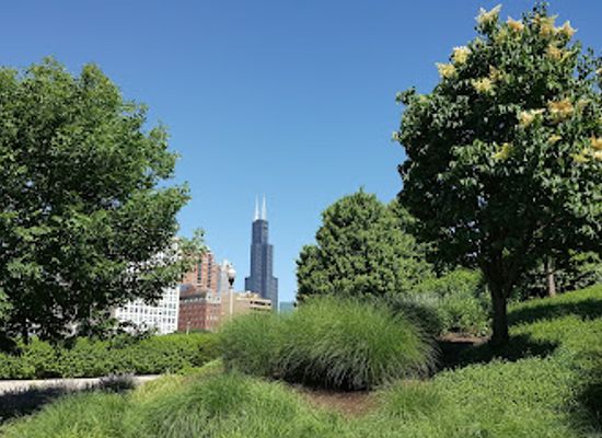 illinois/corn-belt/landmark/willis-tower