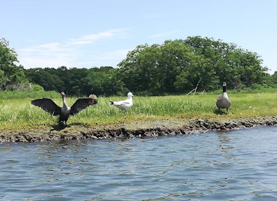 rhode-island/washington-county/landmark/john-h-chafee-national-wildlife-refuge