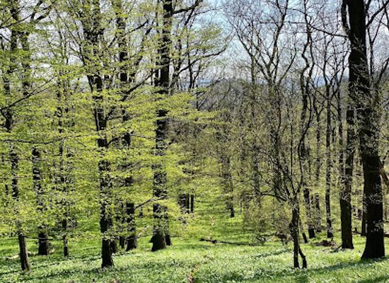 austria/vienna/hernals/landmark/stauweiher