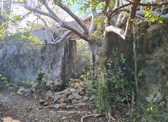 curacao/band-abou/landmark/landhuis-fontein-ruins