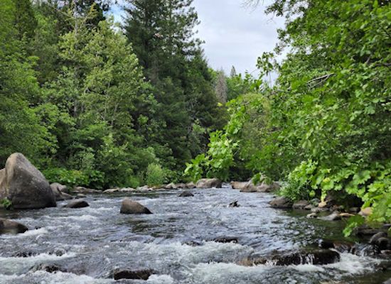 california/shasta-cascade/landmark/dunsmuir-botanical-gardens