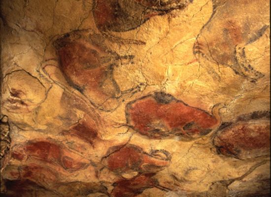 spain/cantabria/landmark/national-museum-and-research-center-of-altamira