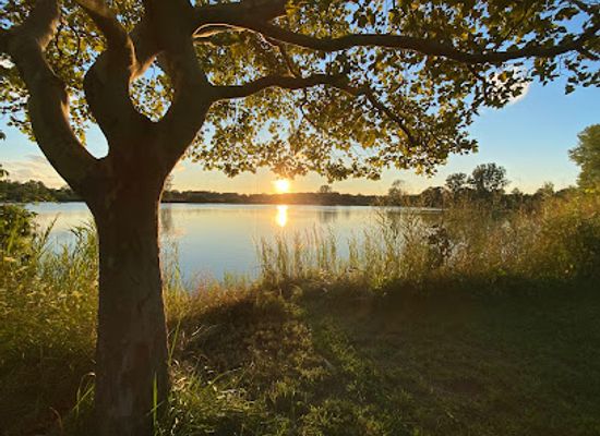 ohio/maumee-bay-state-park/landmark/maumee-bay-state-park-campground