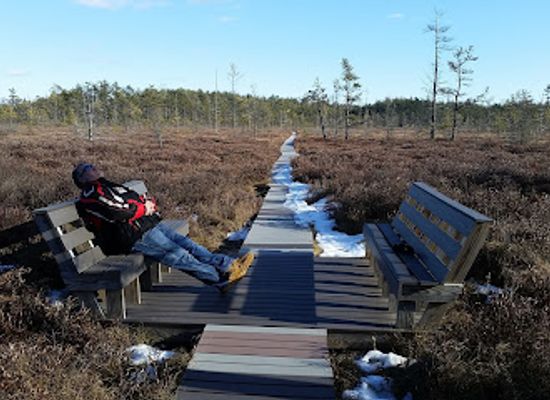 maine/saco/landmark/saco-heath-preserve