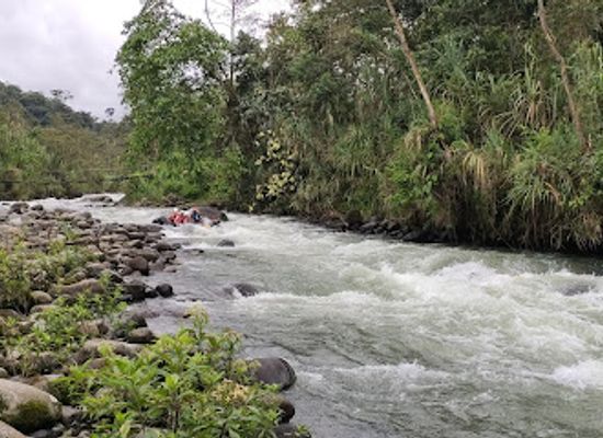 ecuador/northern-sierra/landmark/mindoxtrem-birds-operador-turistico