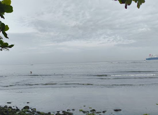 india/kerala/landmark/kochi-beach