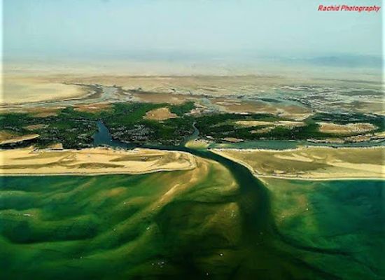 djibouti/godoria-mangrove/landmark/godorya