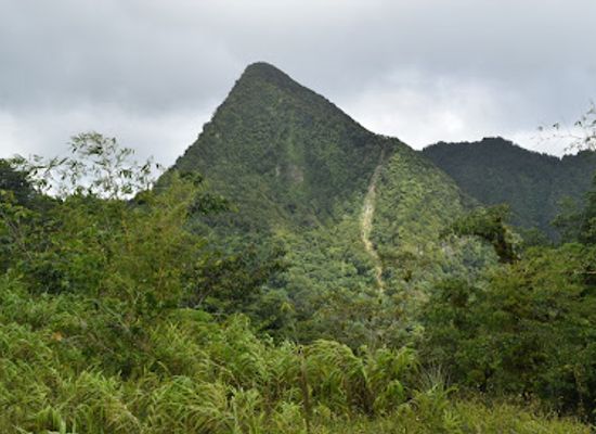 saint-lucia/micoud/landmark/des-cartier-trail