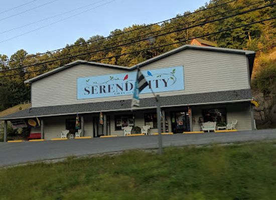 west-virginia/elkins/landmark/serendipity-gifts-toys