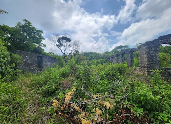 tanzania/coastal-zone/landmark/sinda-island