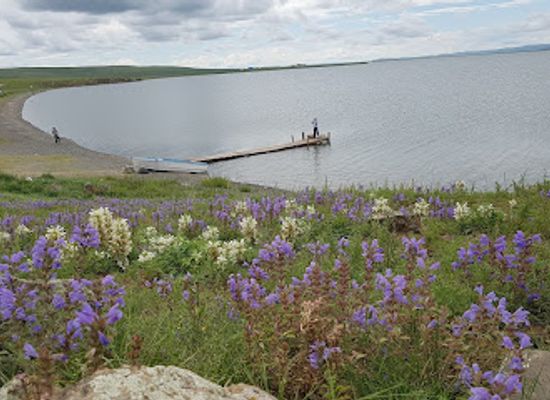 mongolia/lake-khovsgol/landmark/ugii-lake