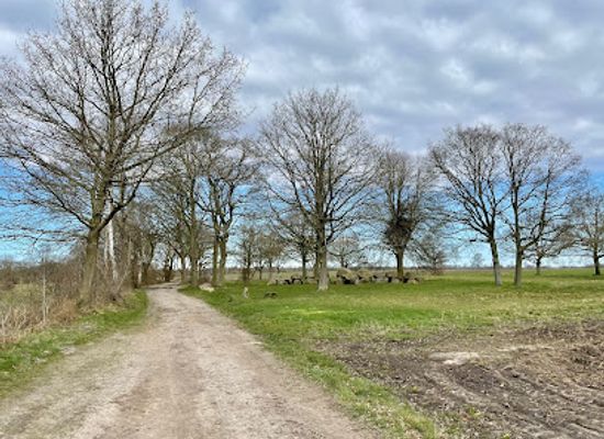 netherlands/drenthe/landmark/geopark-de-hondsrug