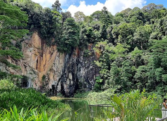singapore/labrador-nature-reserve/landmark/bukit-timah-nature-reserve