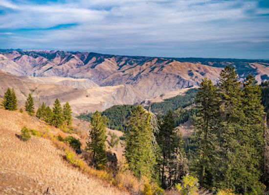 oregon/wallowa-county/landmark/hells-canyon-overlook