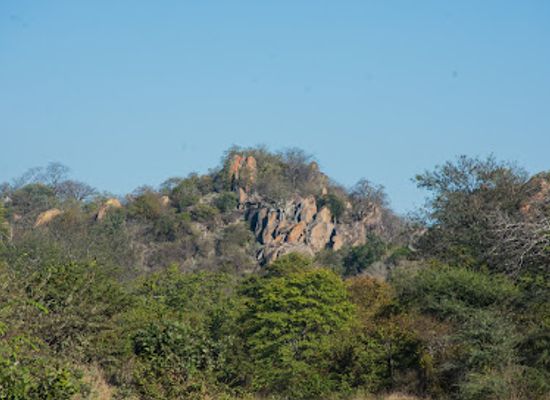 zimbabwe/manicaland/landmark/save-valley-conservancy