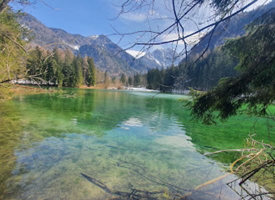 slovenia/savinja/landmark/kamnik-savinja-alps