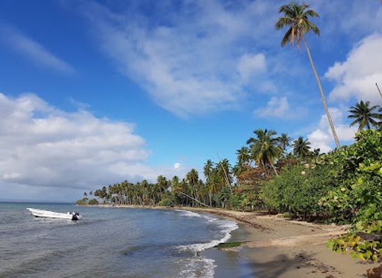 dominican-republic/las-terrenas/landmark/peninsula-tours-agency-las-terrenas