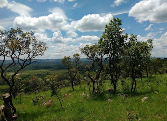 burundi/muyinga/landmark/ruvubu-national-park