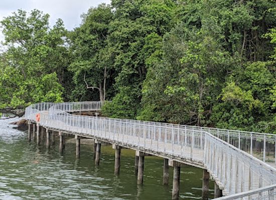 singapore/pulau-ubin/landmark/chek-jawa-boardwalk