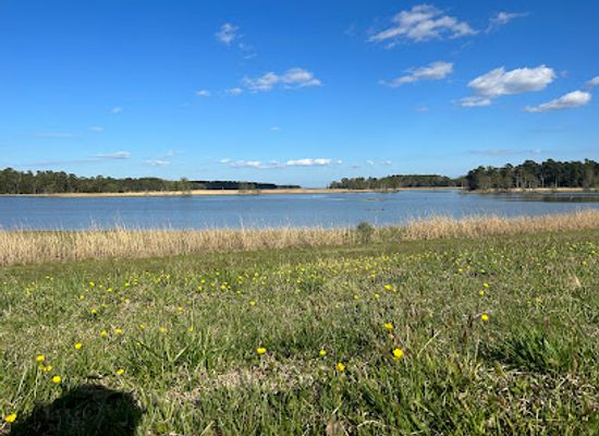 virginia/middle-peninsula/landmark/colonial-national-historical-parkway