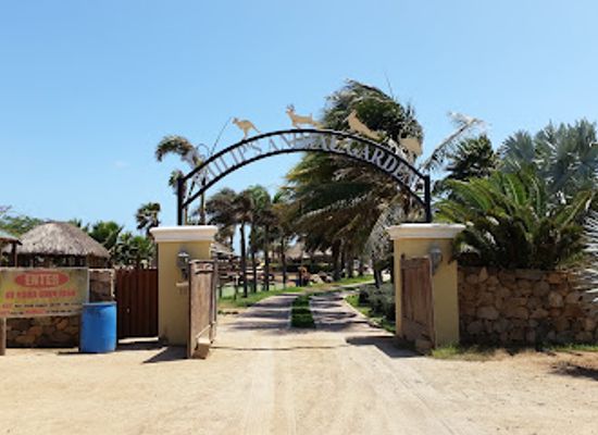 aruba/palm-beach/landmark/philip-s-animal-garden
