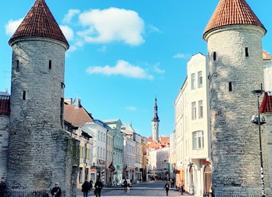 estonia/tallinn/landmark/viru-gate