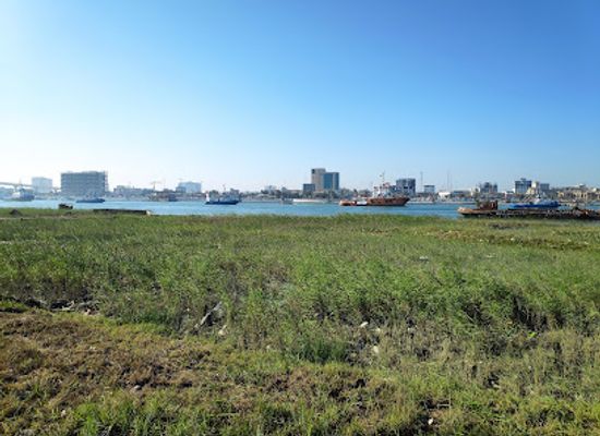 iraq/basra/landmark/corniche-al-tanuma