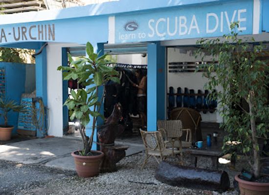 mauritius/flic-en-flac/landmark/seaurchin-diving-center