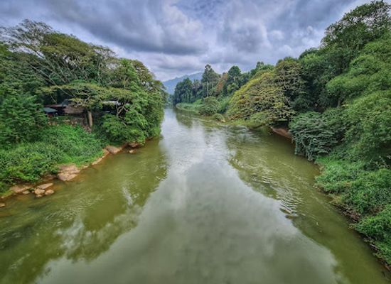 sri-lanka/dry-zone/landmark/royal-botanic-gardens-peradeniya